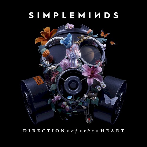 Direction of the Heart