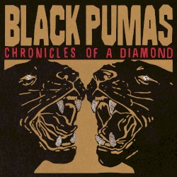 Chronicles of a Diamond