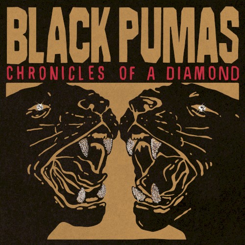 Chronicles of a Diamond