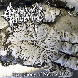 Symphony of Necrosis