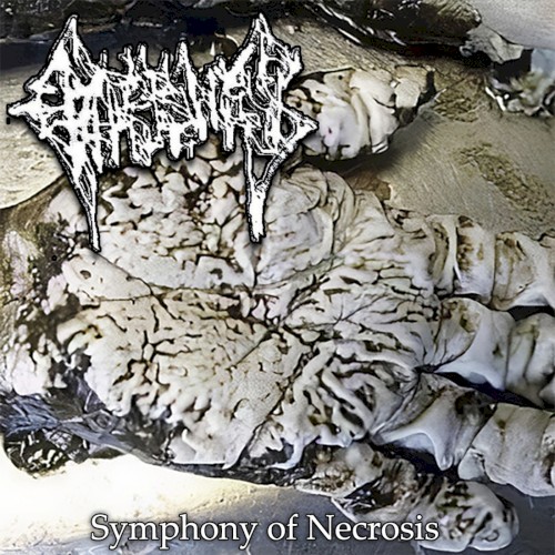 Symphony of Necrosis