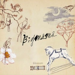 Blossom