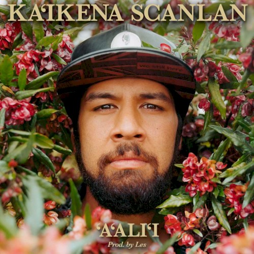 ʻAʻaliʻi