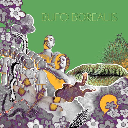 Pupilas Horizontais