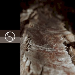 Shapes I