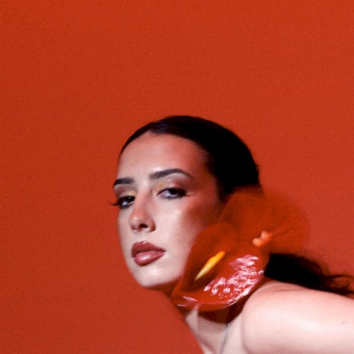 MATADOR