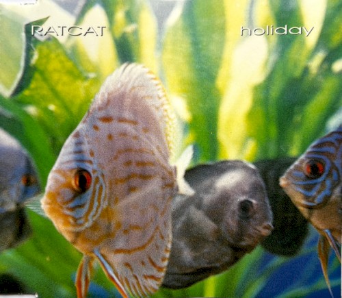 Holiday