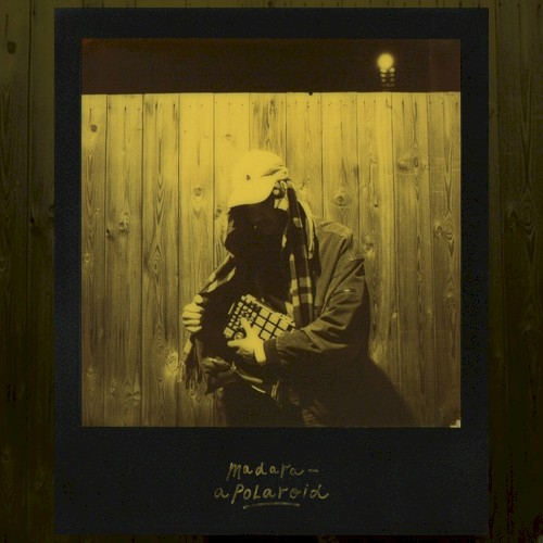 a polaroid