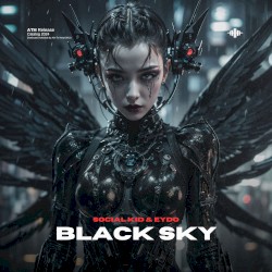 Black Sky