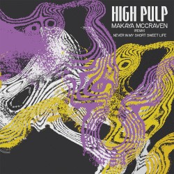 Never in My Short Sweet Life (Makaya McCraven remix)