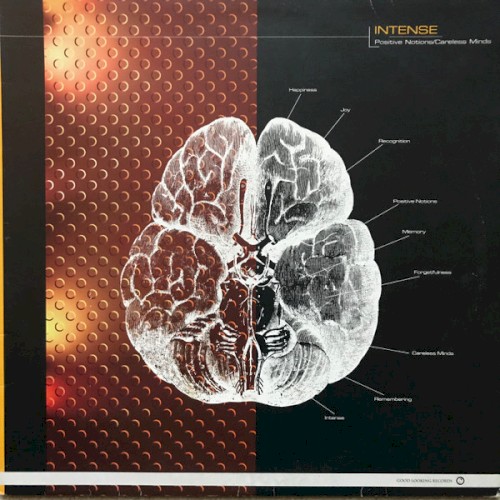Positive Notions / Careless Minds