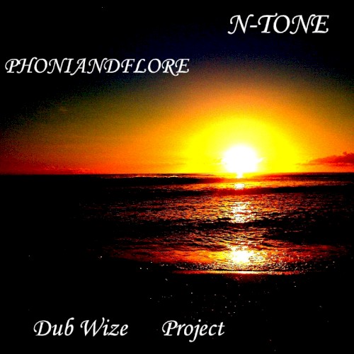 Dub Wize Project