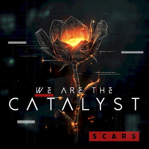 Scars