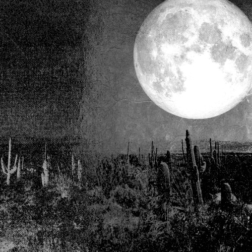 Desert Whispers Through the Dark Tongues