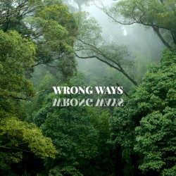 Wrong Ways