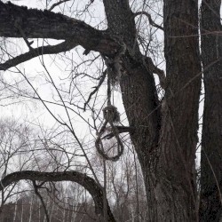не ждёшь обратно