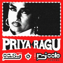 Easy (MJ Cole remix)