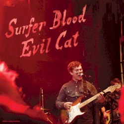 Evil Cat