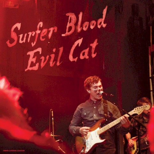 Evil Cat