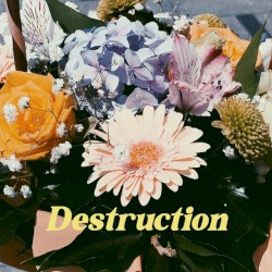 Destruction