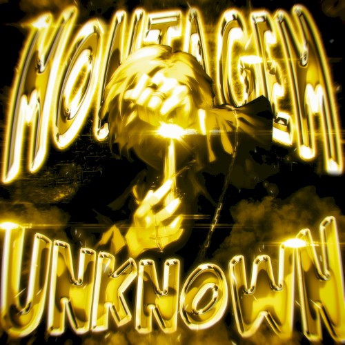 MONTAGEM UNKNOWN (Remixes)