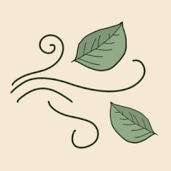 wind blown leaf