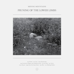 Pruning of the Lower Limbs