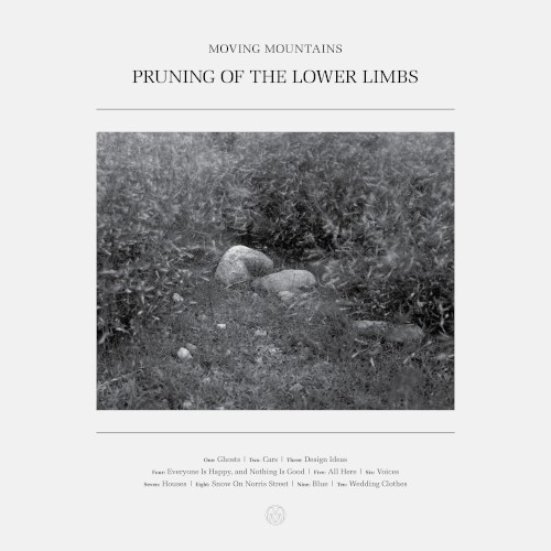 Pruning of the Lower Limbs