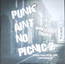 Punk Ain't No Picnic 2