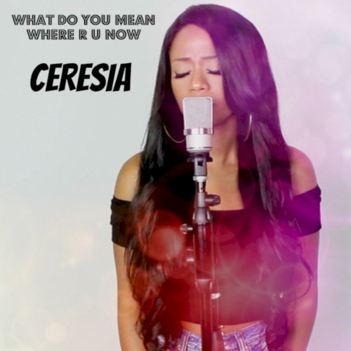 What Do You Mean