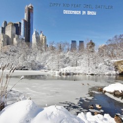 December In Snow