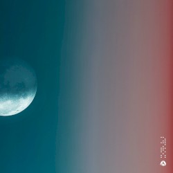 Moonlit Wave