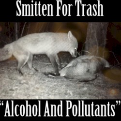 Alcohol and Pollutants