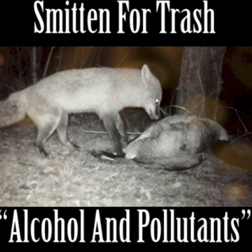 Alcohol and Pollutants