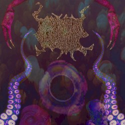 Realm Of The Octosquid