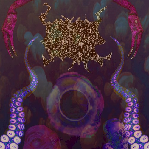 Realm Of The Octosquid