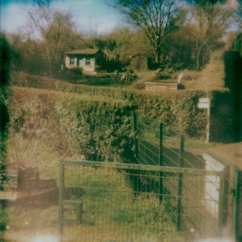 Allotment Tapes #4 - St Anns in the Countryside (with Mo Cooper)