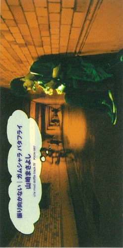振り向かない/ガムシャラ バタフライ