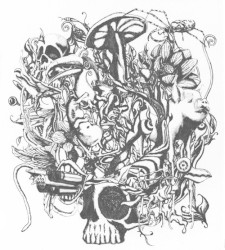anima