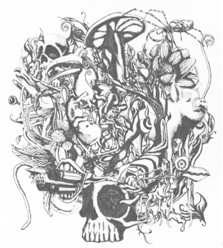 anima