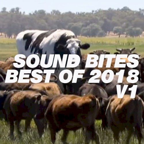Sound Bites Presents Best of 2018 V1