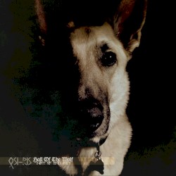 Halls of the Wolf