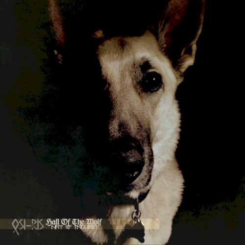 Halls of the Wolf
