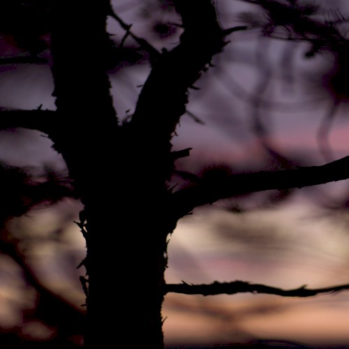 Another Perception II