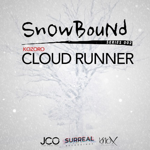 Cloud Runner