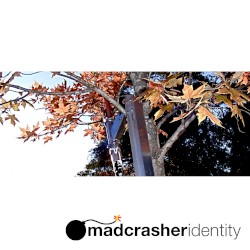 Identity