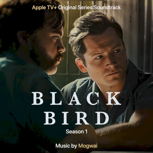 Black Bird