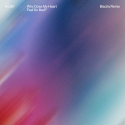 Why Does My Heart Feel So Bad (Biscits remix)