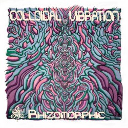Colloidal Vibration