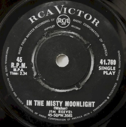 In the Misty Moonlight